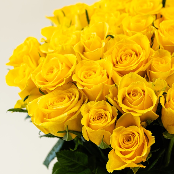 Yellow Roses