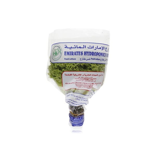 Lettuce Lollo Biondi