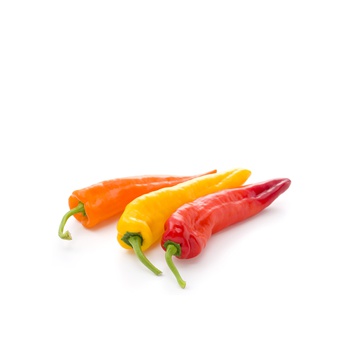 Sweet Palermo Peppers Holland KG