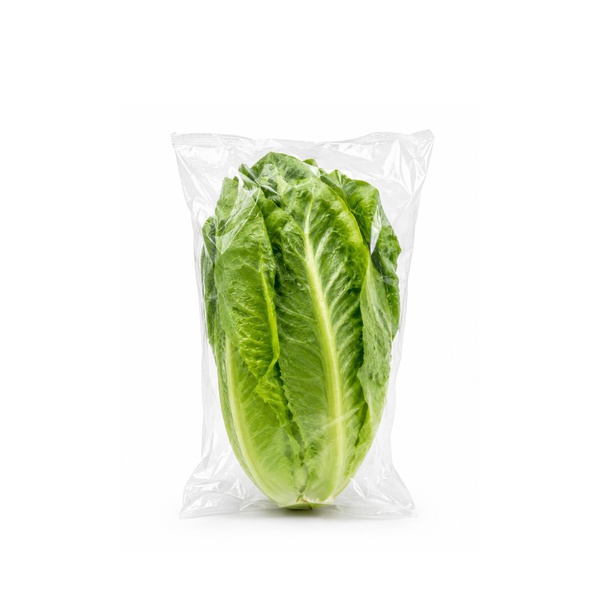 G’s Romaine Single Lettuce UK