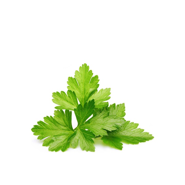 Click & Grow Smart Garden Plant Pods Coriander x 3