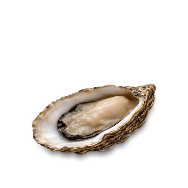Dibba Bay Oysters UAE