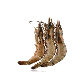 Extra Large Prawns India