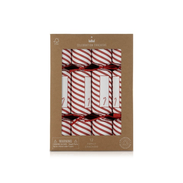 Heart & Soul Studio Christmas Cracker Candy Cane 12in x 12