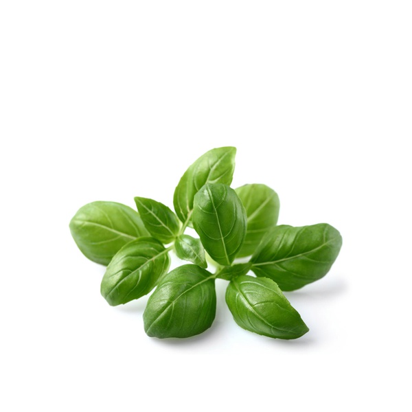 Click & Grow Smart Garden Plant Pods Basil x 3