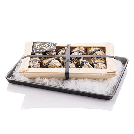 Dibba Bay Oysters x 10