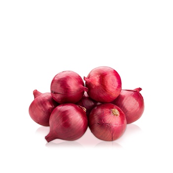 Red Onions Holland