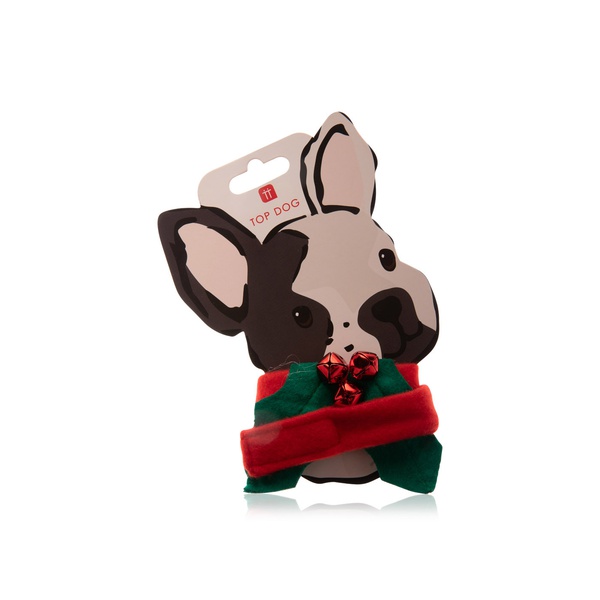 Talking Tables Botanical Christmas Hound Holly Dress Up