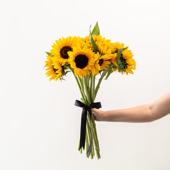 Luxury Sunflowers
