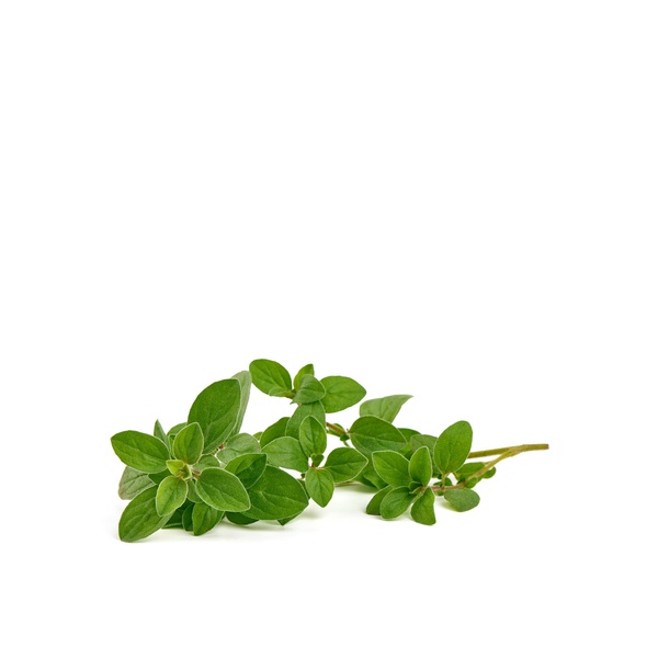 Fresh Oregano Herbs 50g