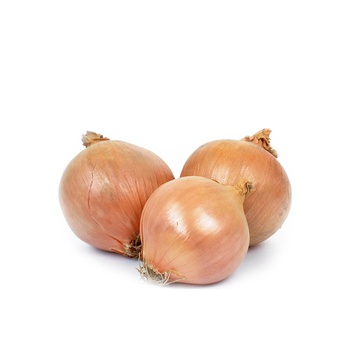 Onion Brown Spain