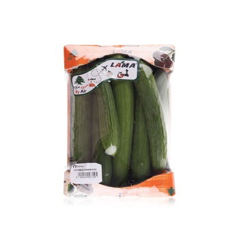 Cucumber Lebanon 570g