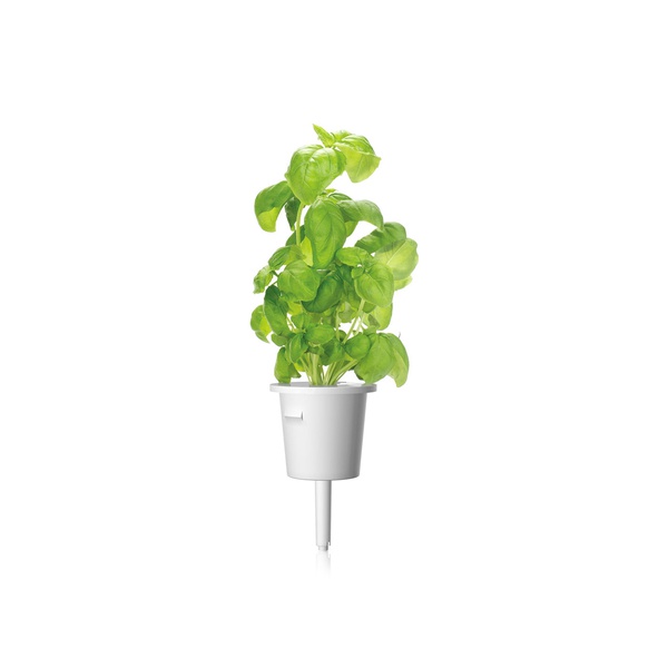 Click & Grow Smart Garden Plant Pods Basil x 3