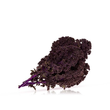 Lakeside Organic Red Kale