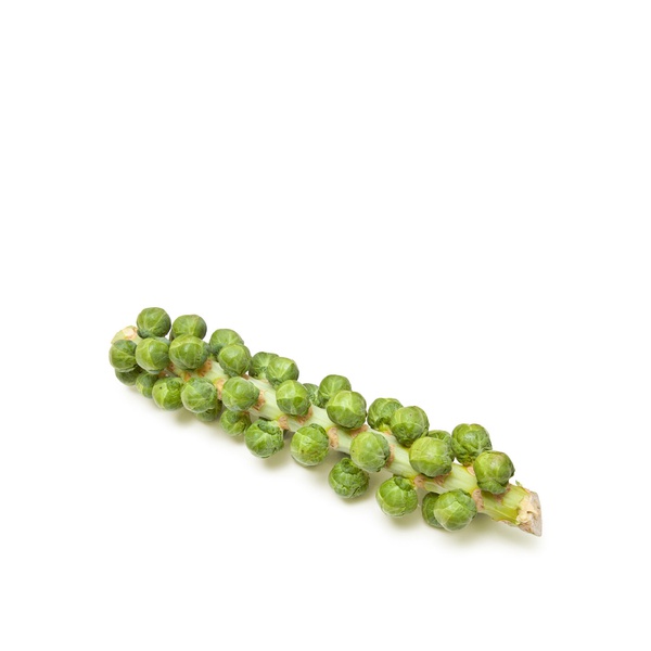 Mudwalls Brussels Sprouts Stalks
