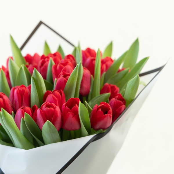 Valentine's Red Tulips
