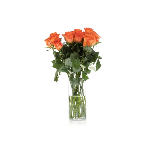 Orange Roses