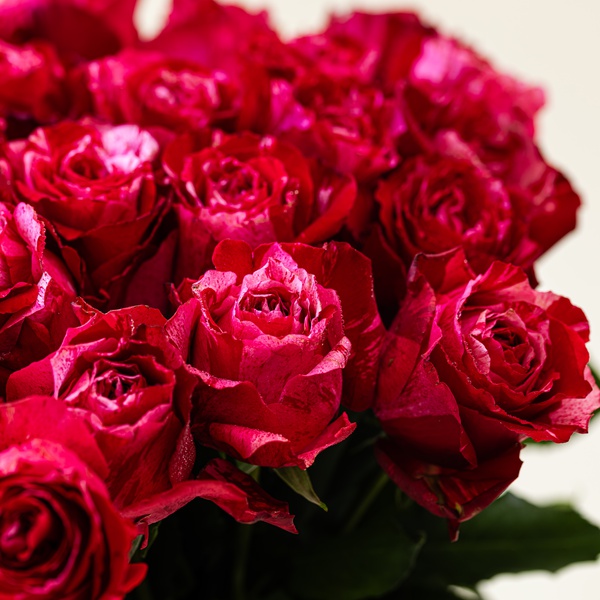 Frou-Frou Roses Bouquet