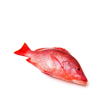 Spinneysfood Whole UAE Red Snapper