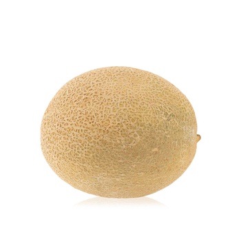 Cantaloupe Melon