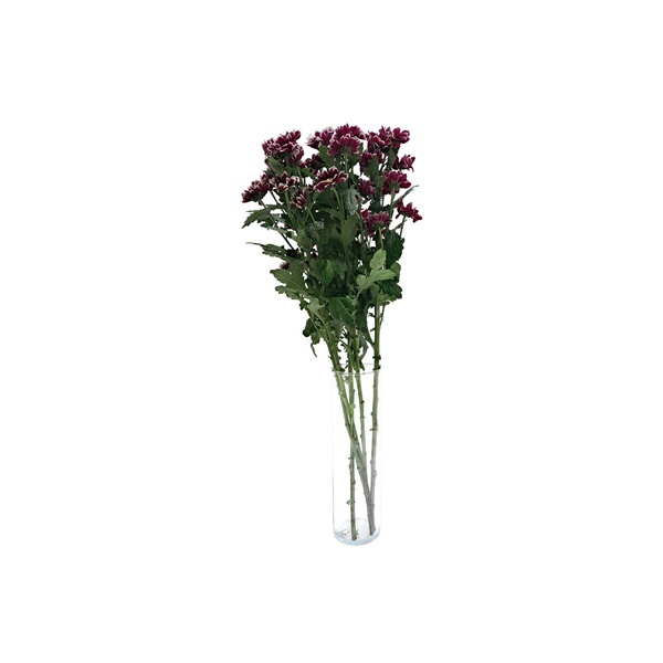 Chrysanthemum Bico Pink Bouquet