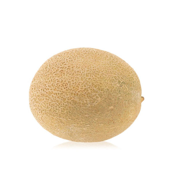 Cantaloupe Melon
