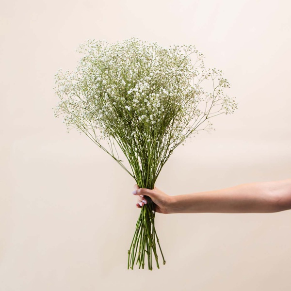 Deluxe White Gypsy Flower