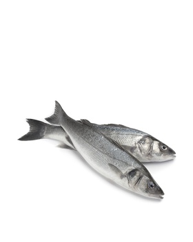 Spinneysfood Organic Sea Bass