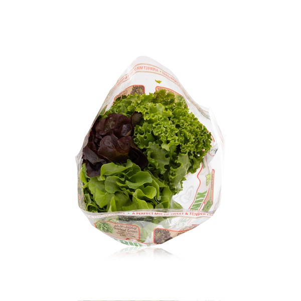 Lollo Biondi Oakleaf Lettuce Red/Green UAE 200g