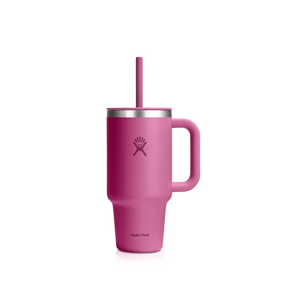 Hydro Flask Tumbler Reef with Straw 950ml