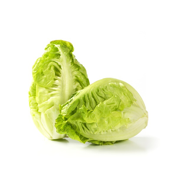 Little gem lettuce Spain 300g Spinneys UAE