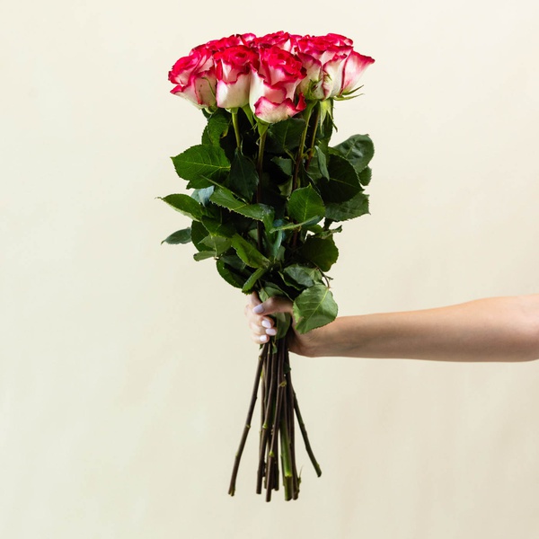 Luxury Pink and White Roses