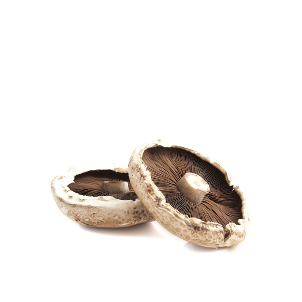 Portabella Mushroom Oman x 2