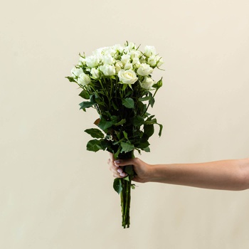 Off-White Spray Roses