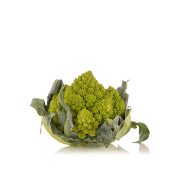 Romanesco Holland