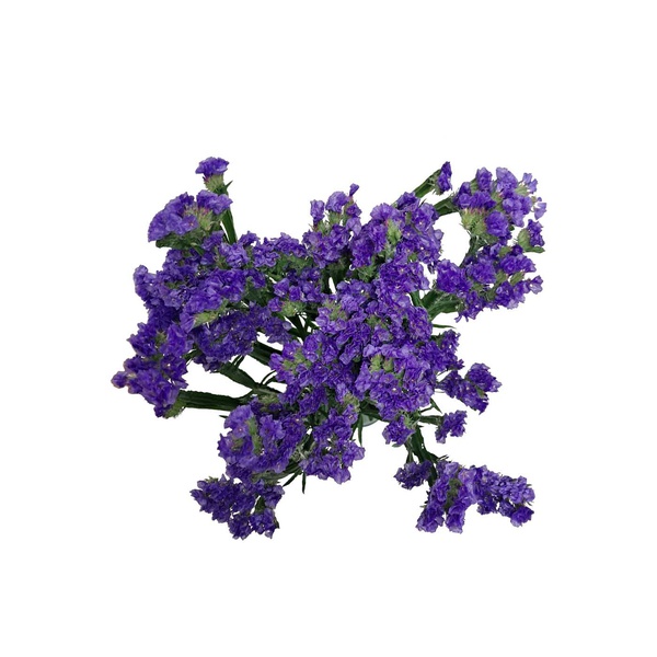 Blue Statice Bunch