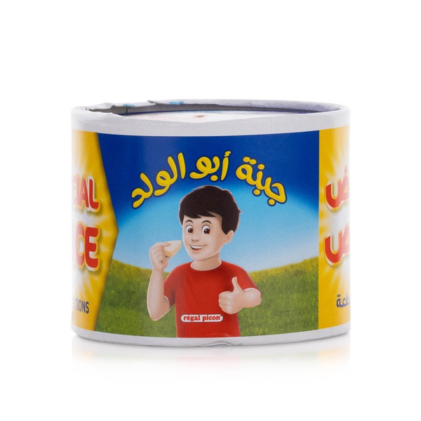 Regal Picon Cheese 32 Portions 480g