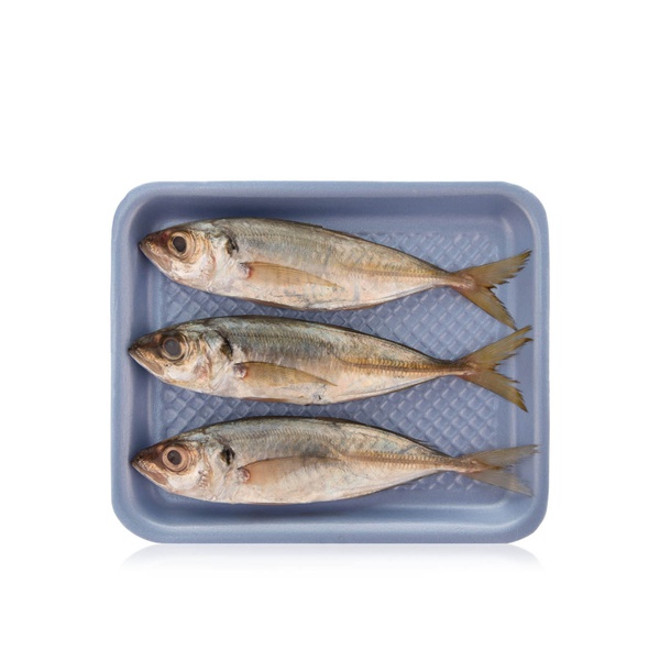 Buy Galunggong fish small UAE in UAE