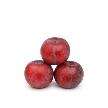 Red Plum Lebanon 500g