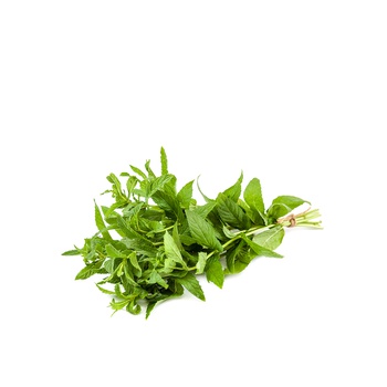 Mint Bunch Oman