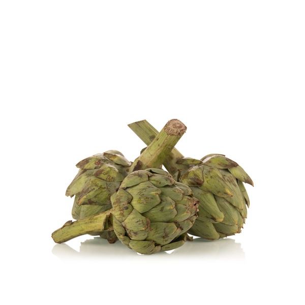 Castel Artichoke France