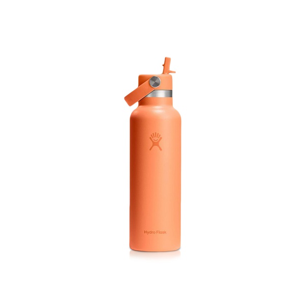 Hydro Flask Bottle Nectar with Straw 620ml