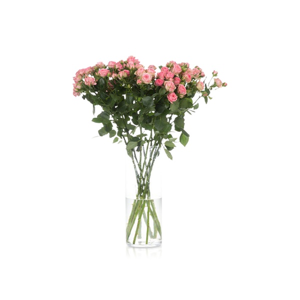 Spray Roses Elisana