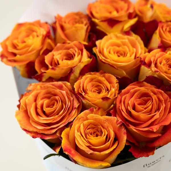 Luxury Orange and Yellow Roses