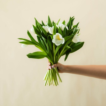 Tulip Bunch White
