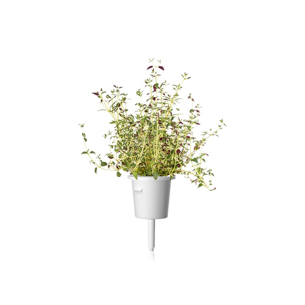 Click & Grow Smart Garden Plant Pods Thyme x 3