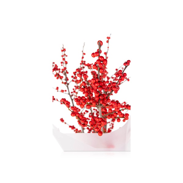 Red Berries Bouquet