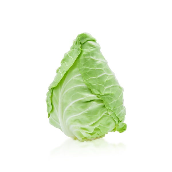 Organic Pointed Cabbage Holland X 1