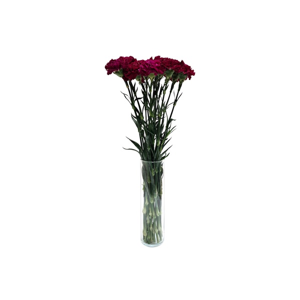 Purple Carnation Bunch