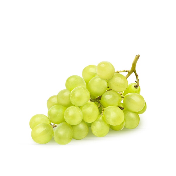 Premium White Seedless Grapes Australia